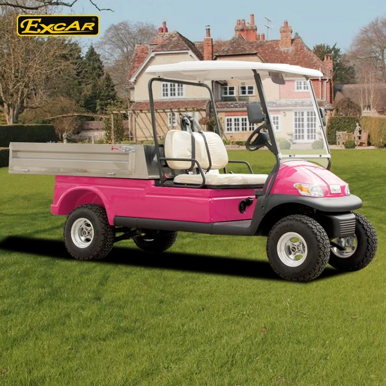 Pink Electric Car with Open Cargo/ Trojan Battery/Curtis Controller 3700W