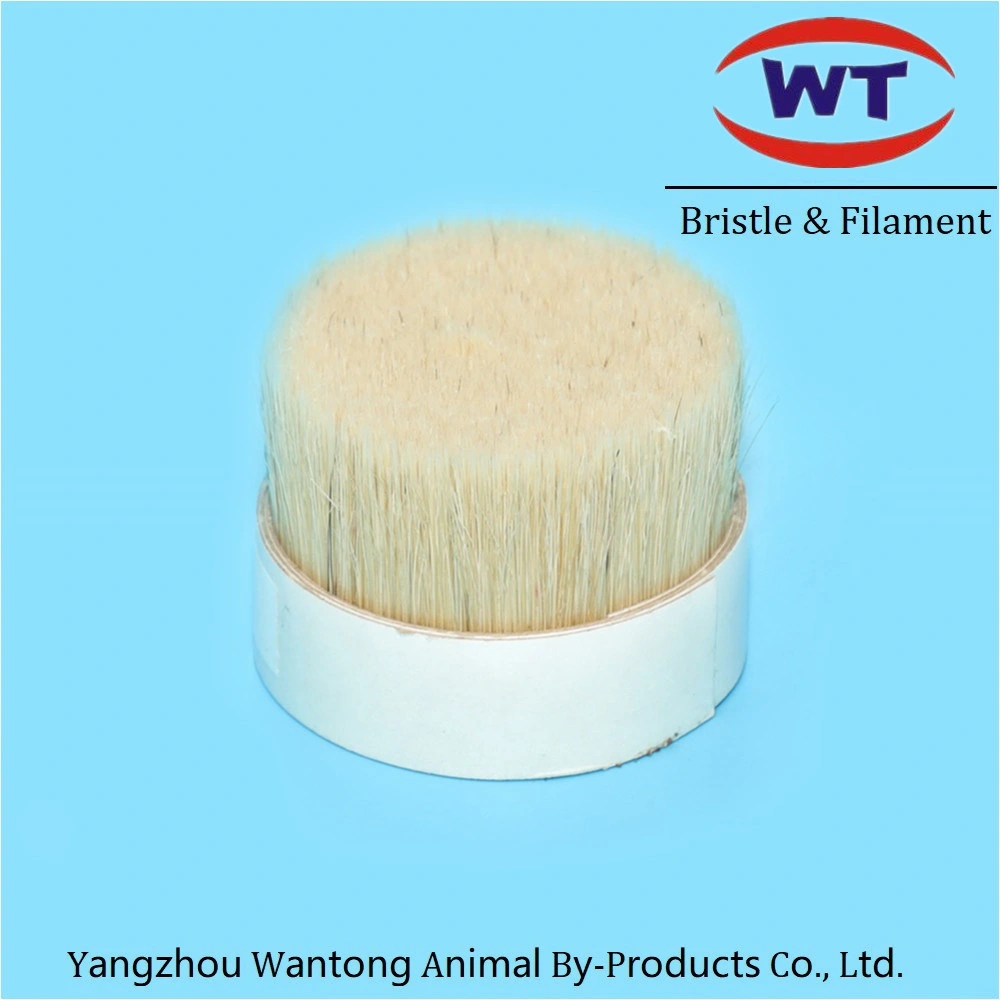 Natural and High quality/High cost performance  White Boiled Bristle Hair 90% Tops