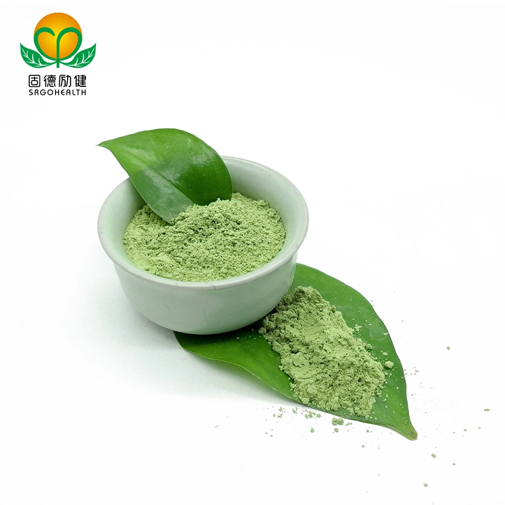 مسحوق جديد لقطعةGMP معتمدة من Matcha Powder