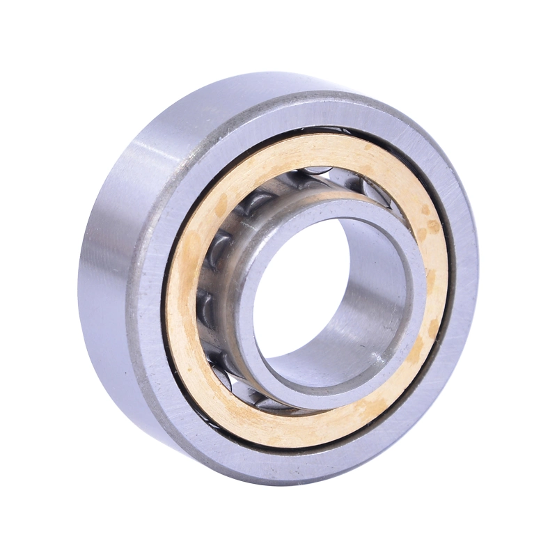 Nj1010 Nj210e Nj2210e Nj310e Nj2310e Nj410 Nj1011 Nj211e Nj2211e NSK NTN Koyo Bearing Single Row Cylindrical Roller Bearing