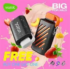 Custom Disposable/Chargeable Wholesale/Supplier I Vape Box Fruit Flavors Vozol Gear 7000 10000 Puff E Cigarette