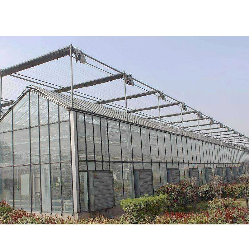 Hot DIP Galvanized Steel Frame Plastic Sheet Aeroponics System Polycarbonate