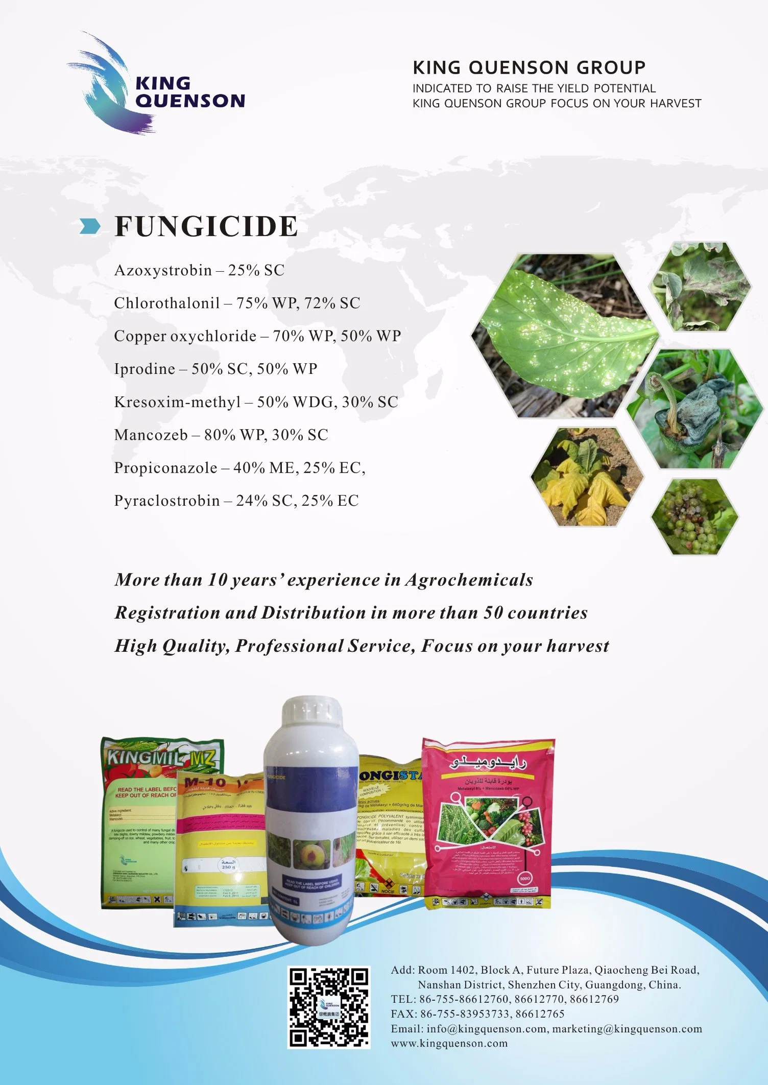 King Quenson Fast Delivery Supplier Bactericide Products List Fungicide