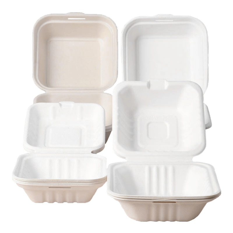 Eco Food Packaging Boxes Biodegradable Lunch Boxes with Lid Sugar Cane Bagasse to Go Disposable Bento Food Container