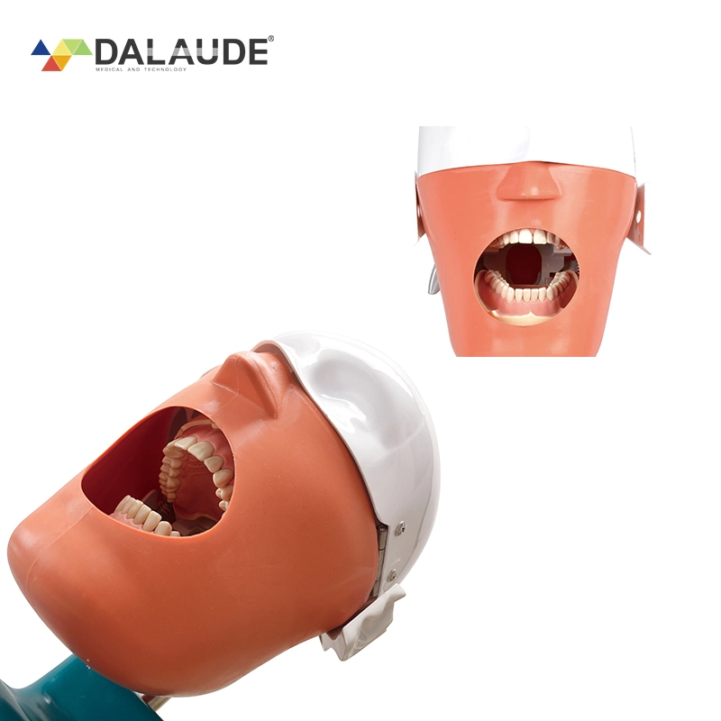 Detachable Electrical Oral Simulation Practice System Clinical Teaching Simulation Unit