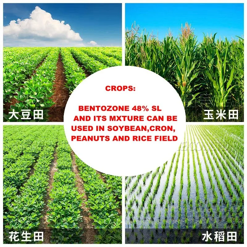 Chine approvisionnement en prix d'usine bentazone d'herbicide 95% TC, 480 g/L SL