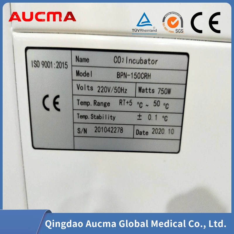 Laboratory Electrical Thermostat Incubator Machine, Constant Temperature Cells Incubator Chamber