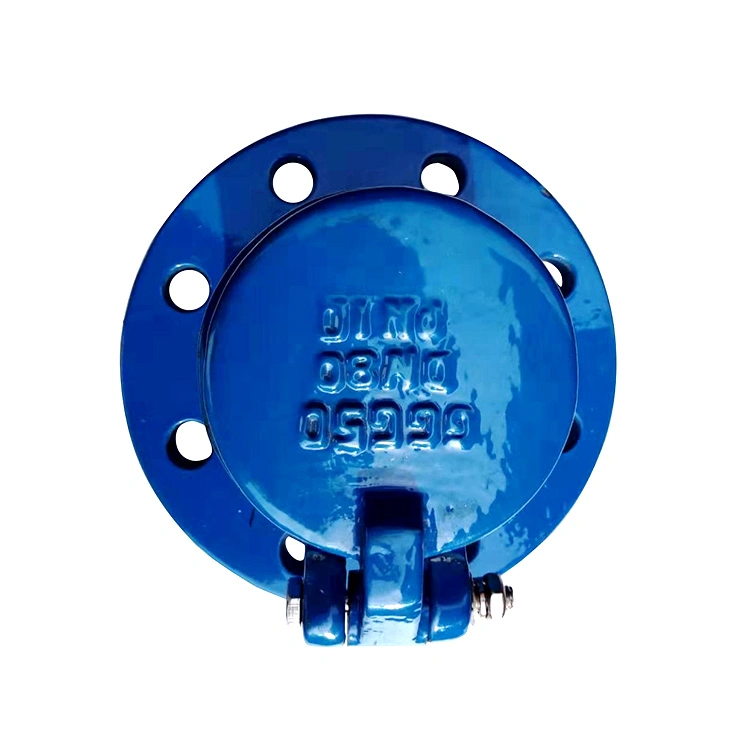 DN80 Pn10 Ductile Cast Iron Flanged Flap Type Check Valve Manufacturer