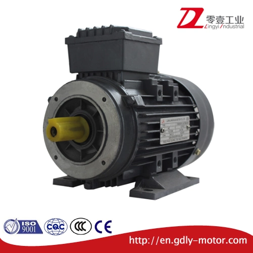 Ye2 Series 80~160 Frame Size Cast Aluminum Housing High Efficiency Three Phase Asynchronous Electric Motor