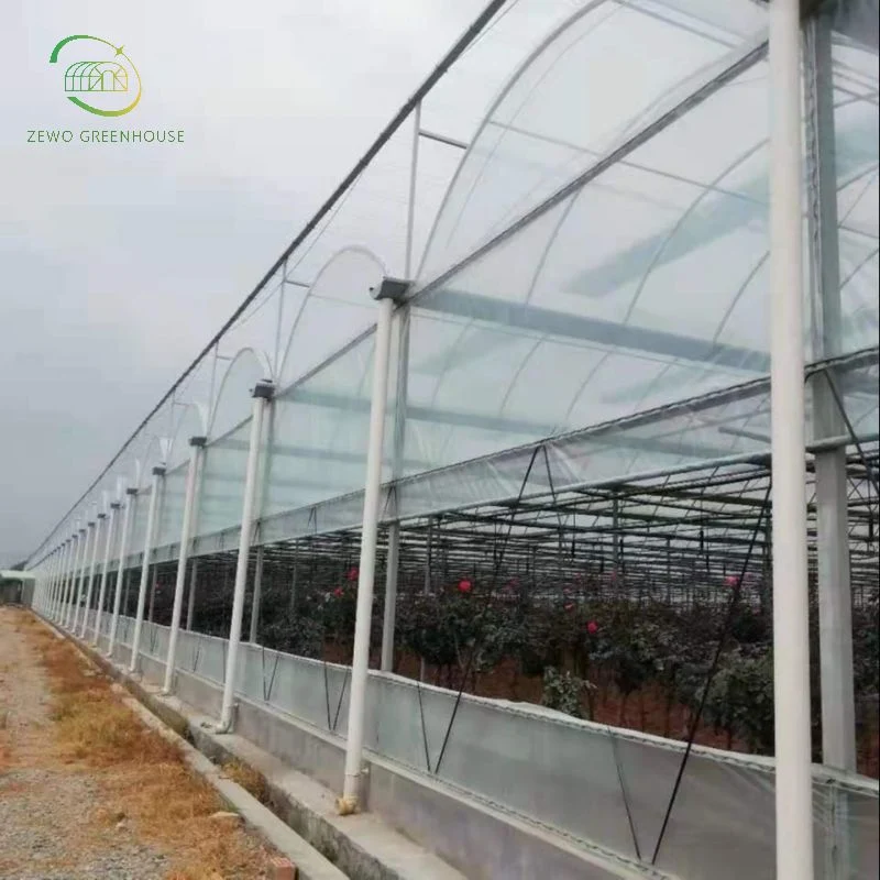 فيلم من نوع القوس متعدد النطاقات من نوع الدفيئة مع نظام فراولة Hydroponic