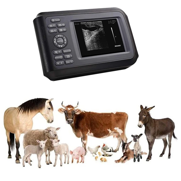 Laptop Vet Handheld Vet Ultrasound Veterinary Portable Ultrasound Machine Scanner