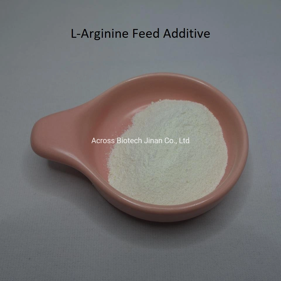 Additif pour l'alimentation animale L-arginine fournisseur fiable de Chine