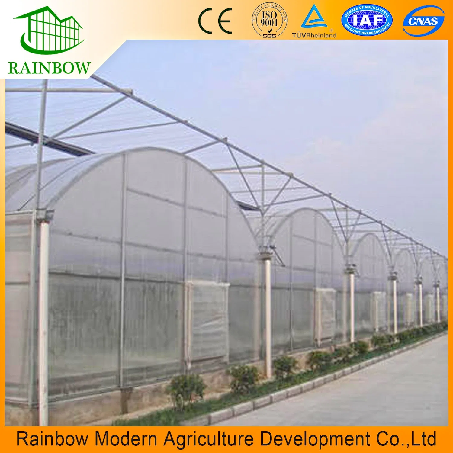 Modern Multi-Span High Tunnel Plastic Film Hydroponic Greenhouse for Agriculture