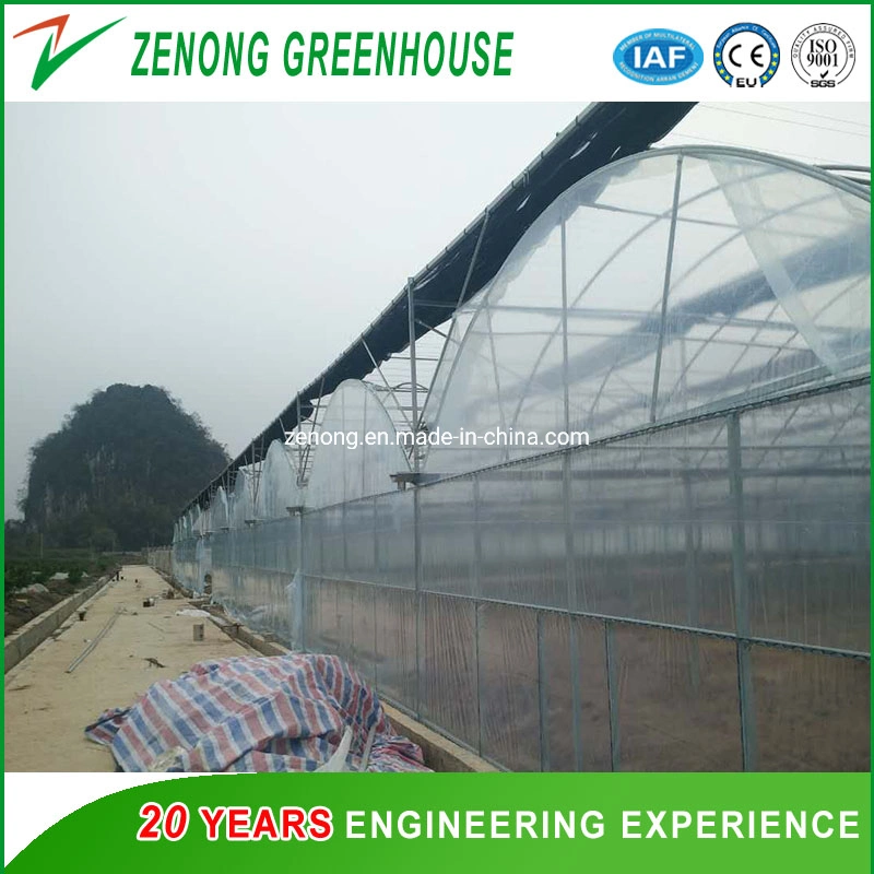 الزراعة/المزرعة/Multi-span/Single-span/Tunnel Plastic Film Greenhouse مع نظام الري لزراعة الطماطم/الفراولة/الخيار