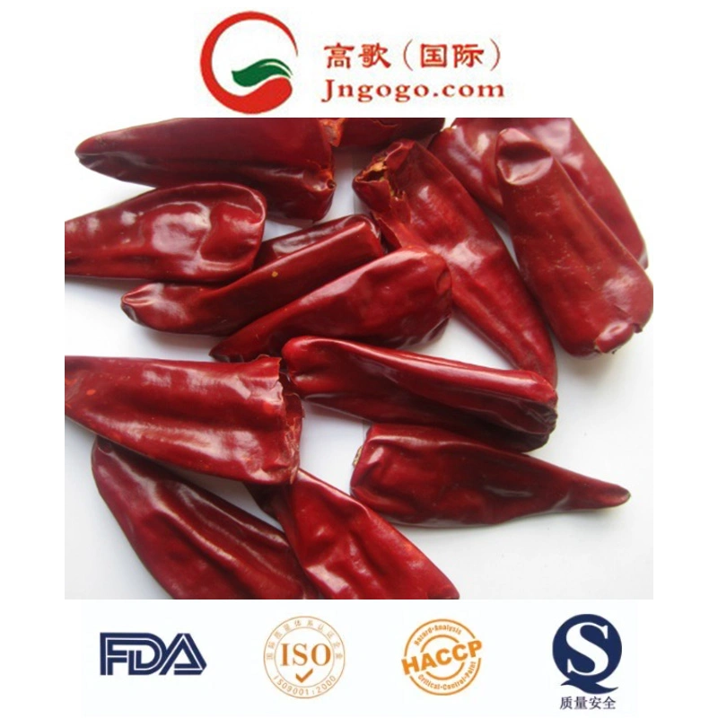 Dry Red Natural Yidu Chaotian Tianying Chili