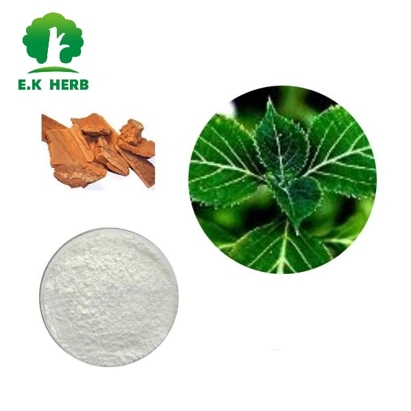 E. K Herb Factory Supply Natural Yohimbe Bark Extract 98% Yohimbine HCl polvo