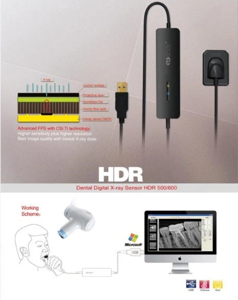 Medicina dentária Digital Sensor de raios X Ray Clínica Intraoral X-Sensor de raios x