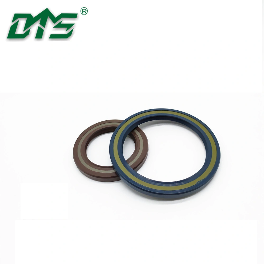 Mechanical Pressure Resistant NBR Tcv Motor Skeleton Oil Seals