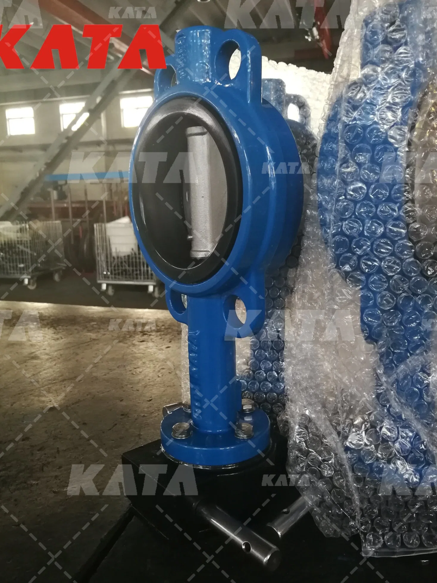 Gear Operator Soft Seat Lug Cast Iron Center Line Wafer Type Butterfly Valve