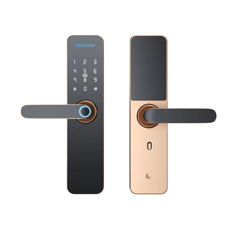 Remote Control Electronic Fingerprint Password Smart Office Hotel Door Lock Frameless Sliding Glass Aluminum Tuya APP