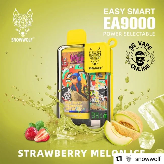 Original Easy Smart Ea 9000 Puffs New Jelly 5000 Cartridge ODM Vape E Liquid New Design