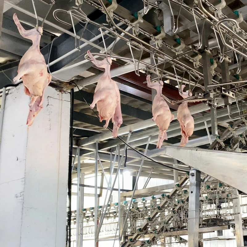 Le dépeçage de poulet poulets en abattoir de la machine machine usine de transformation de l'équipement d'abattage de poulet