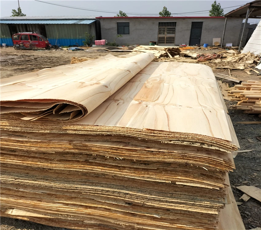 Rotary Cutting Pine Wood Middle and Long Core 2520 *1270 *2.2mm Pine Veneer for Plywood