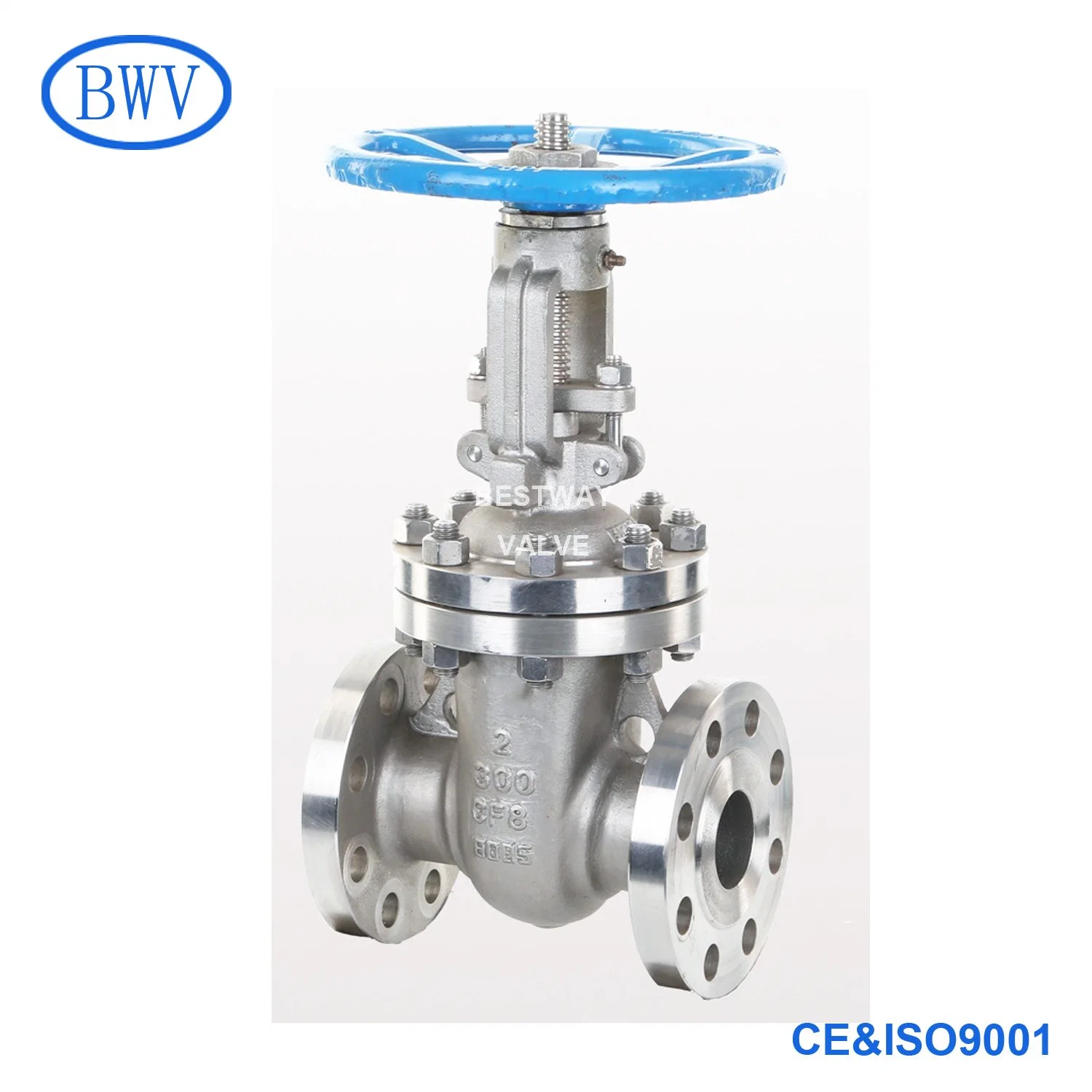 ANSI 300lb CF3m/316L Rising Stem Flanged Gate Valve