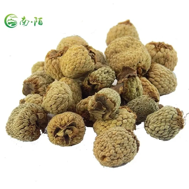 Venta caliente Fu Peng Zi Fruit Herb Té