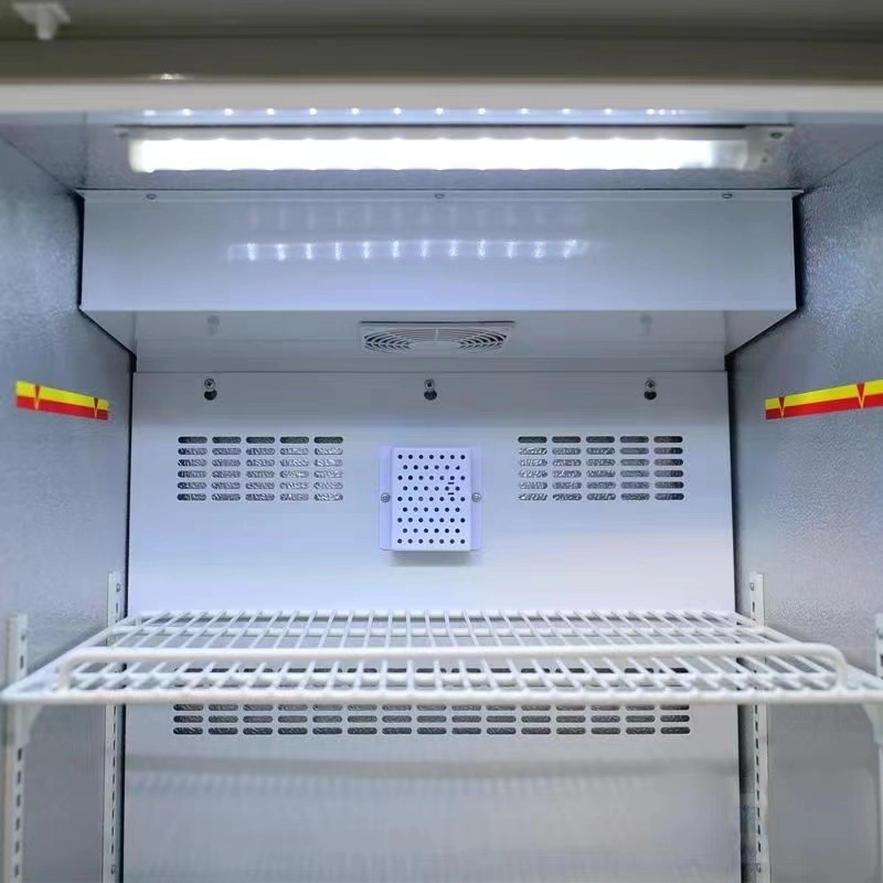 Commercial Upright Frozen Freezer with Digital Temperature Display Price for Sale