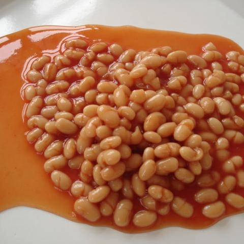 Canned White Kidney Bean/Baked Bean in Tomato Sauce