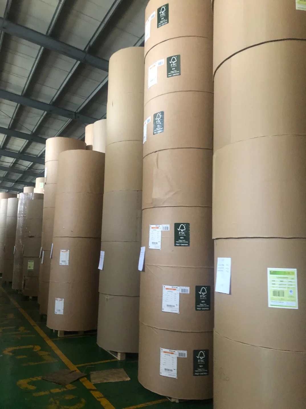 Double Size PE Coated Paper Roll for Paper Cup