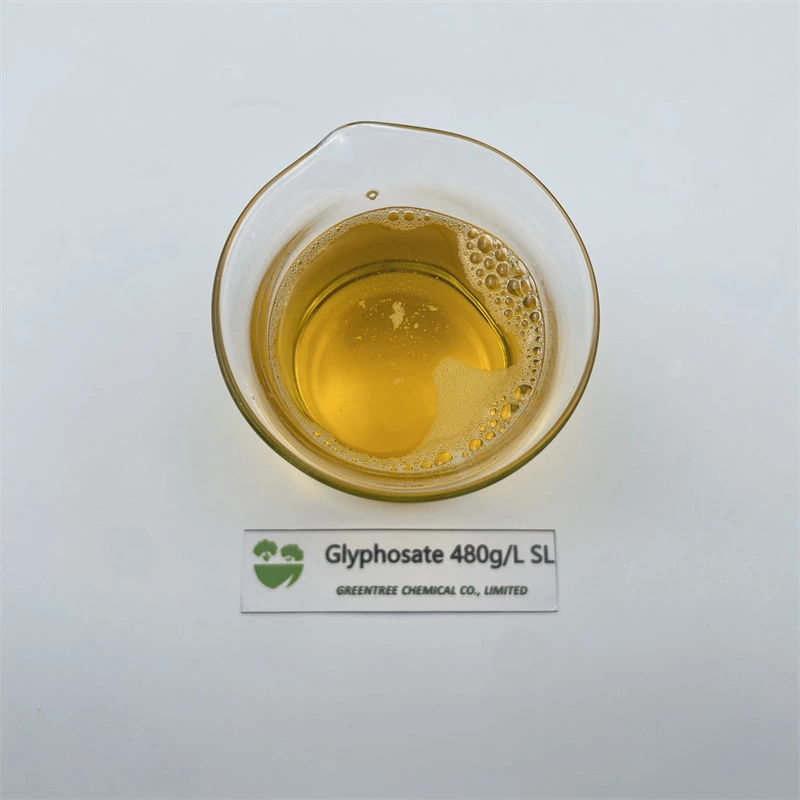 CAS no 38641-94-0 produto agroquímico herbicida glifosato-isopropilamônio glifosato 480g/L SL Fornecedor chinês