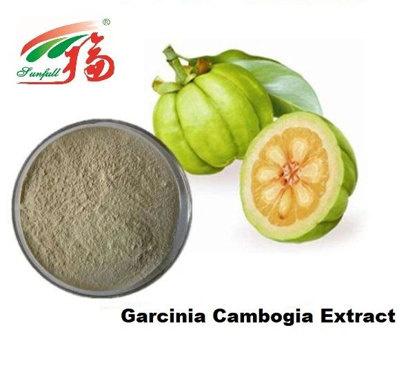 El 50% de alta calidad, el 60% hidroxi ácido cítrico/ Polvo extracto de Garcinia Cambogia