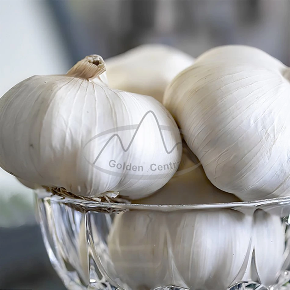 High Grade Fresh Garlic/Normal White Garlic for Sale