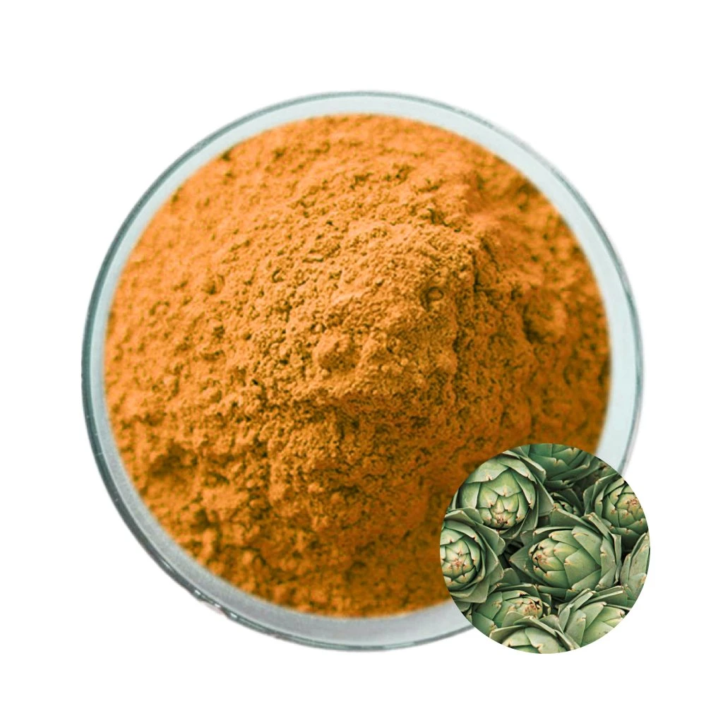 Plant Extract Cynarin Organic Artichoke Extract Powder for Food Supplements