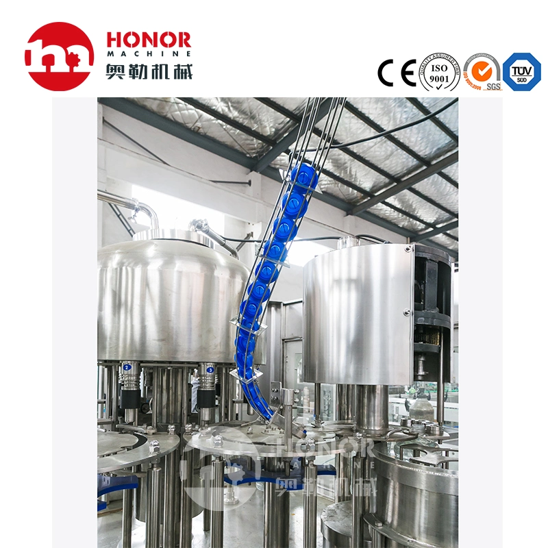 Full Function, Low Energy Consumption, Small Scale, Less Investment, High Degree of Automation of Rotary Plastic Bottle Liquid Filling and Packaging Machinery