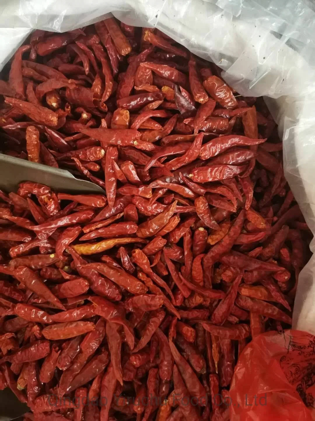 Direkte Versorgung mit Hirse und Chili Peppers von vertrauenswürdigen Orten In China