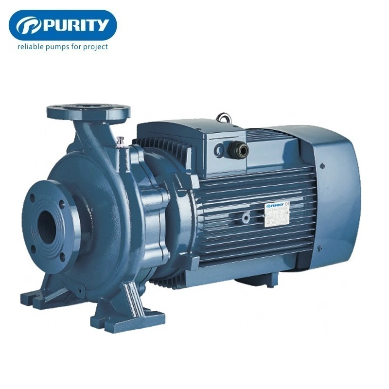 Purity Electric Close Coupled Monoblock Surface Centrifugal Water Pump