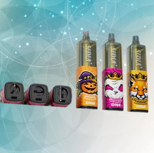 Produit de haute qualité Vente en gros Vape jetable facteur stylo sortie Sidia 12000 Puffsbig succion en gros I Vape Sidia E cigarette