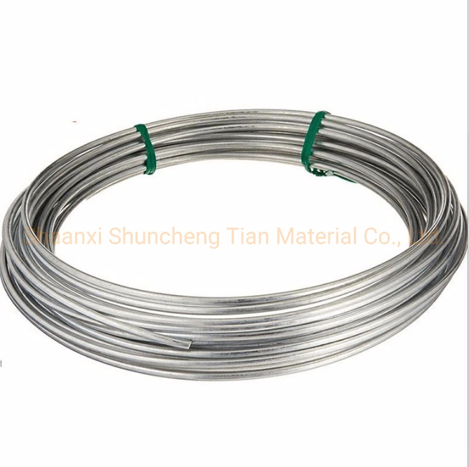 AISI 201/304/316 Small Diameter Stainless Steel Wire for Binding or Tie