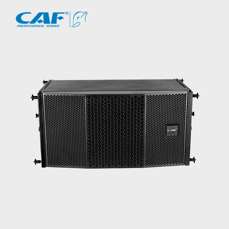 Zwei passive Line-Array-Sound-System-Lautsprecher mit 8inch Bässen