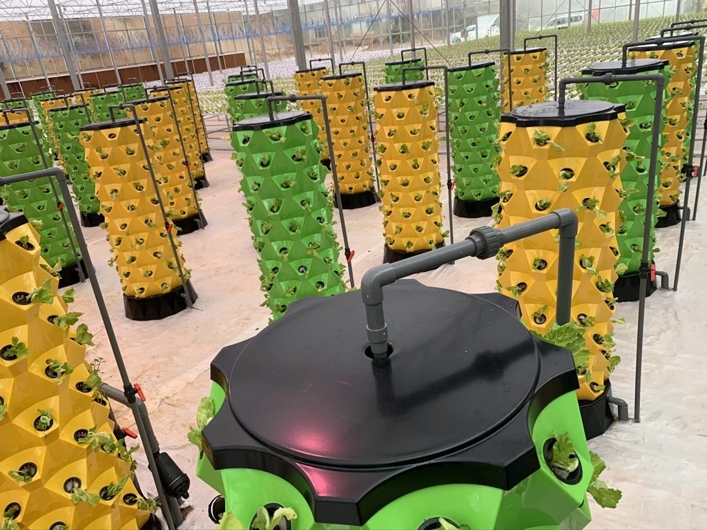 Tour de l'intérieur jardin Aeroponics automatisé avec LED feux de croître