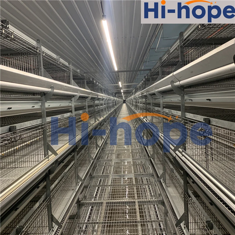 Auto Poultry Farm Layer Cage Drinking System for Chicken House