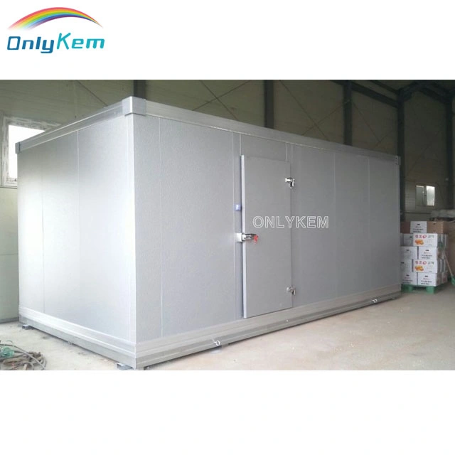 Industrial Walk in Freezer and Chiller Refrigeration Parts for Cold Room Chicken Beef Fish