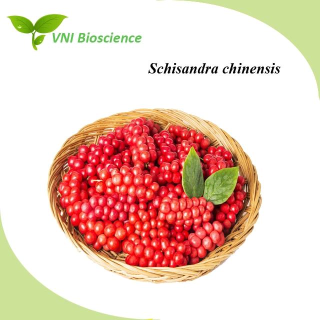 Kosher Halal Certified 100% Natural 1% Schizandrin Schisandra Chinensis Extract