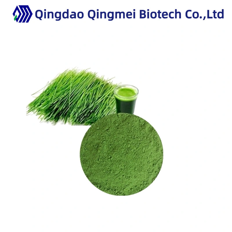 Water Soluble Wholesale/Supplier Price 200 Mesh Organic Green Barley Grass Powder