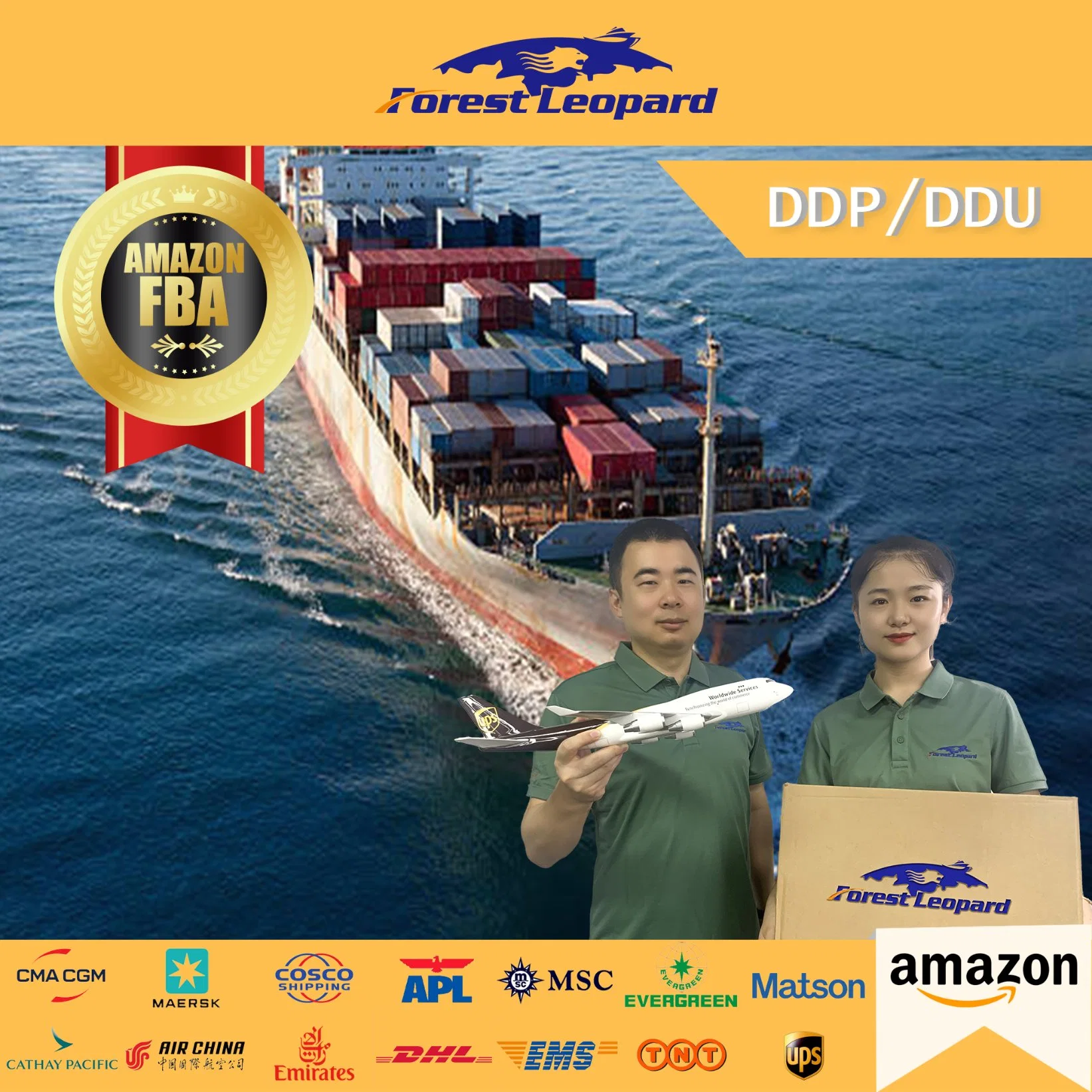 DDP Freight Forwarding/Shipping Forwarding China to UK France Poland Romania Spain Czech Republic Italy Canada USA Amazon Fba