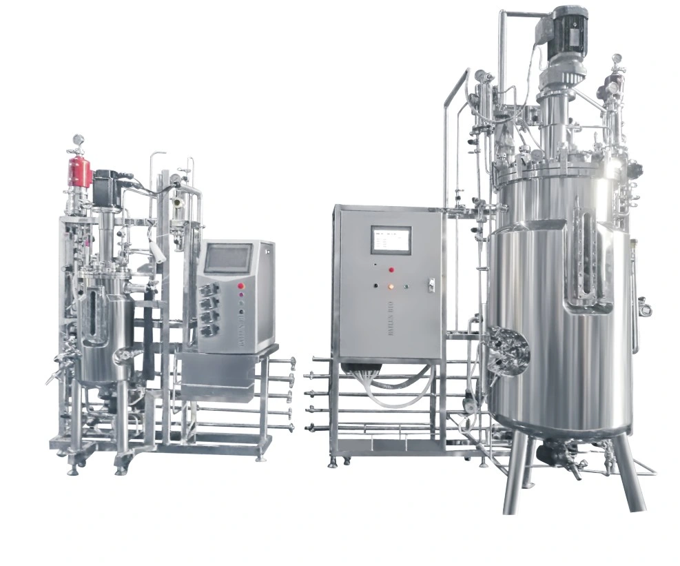 Bioreactor Fermenter with Double Mechanical Seal and Steam Sterilization