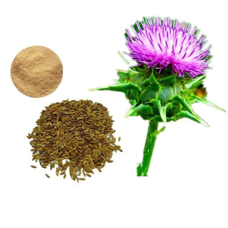 Herbal Plant Milk Thistle Seed Extract/Milk Thistle Extract Powder